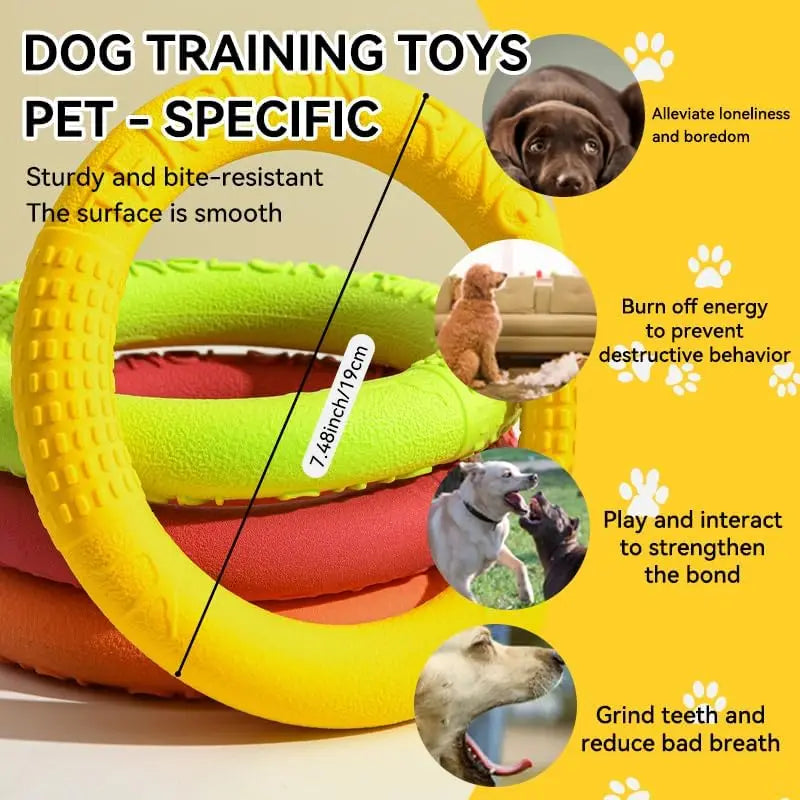 PowerPlay Dog Training Ring