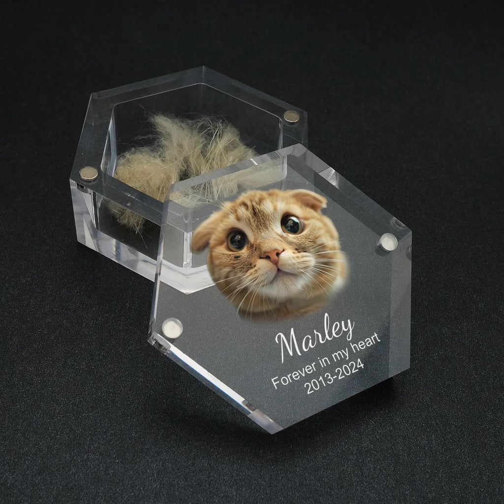 Paws of Memory Keepsake Box
