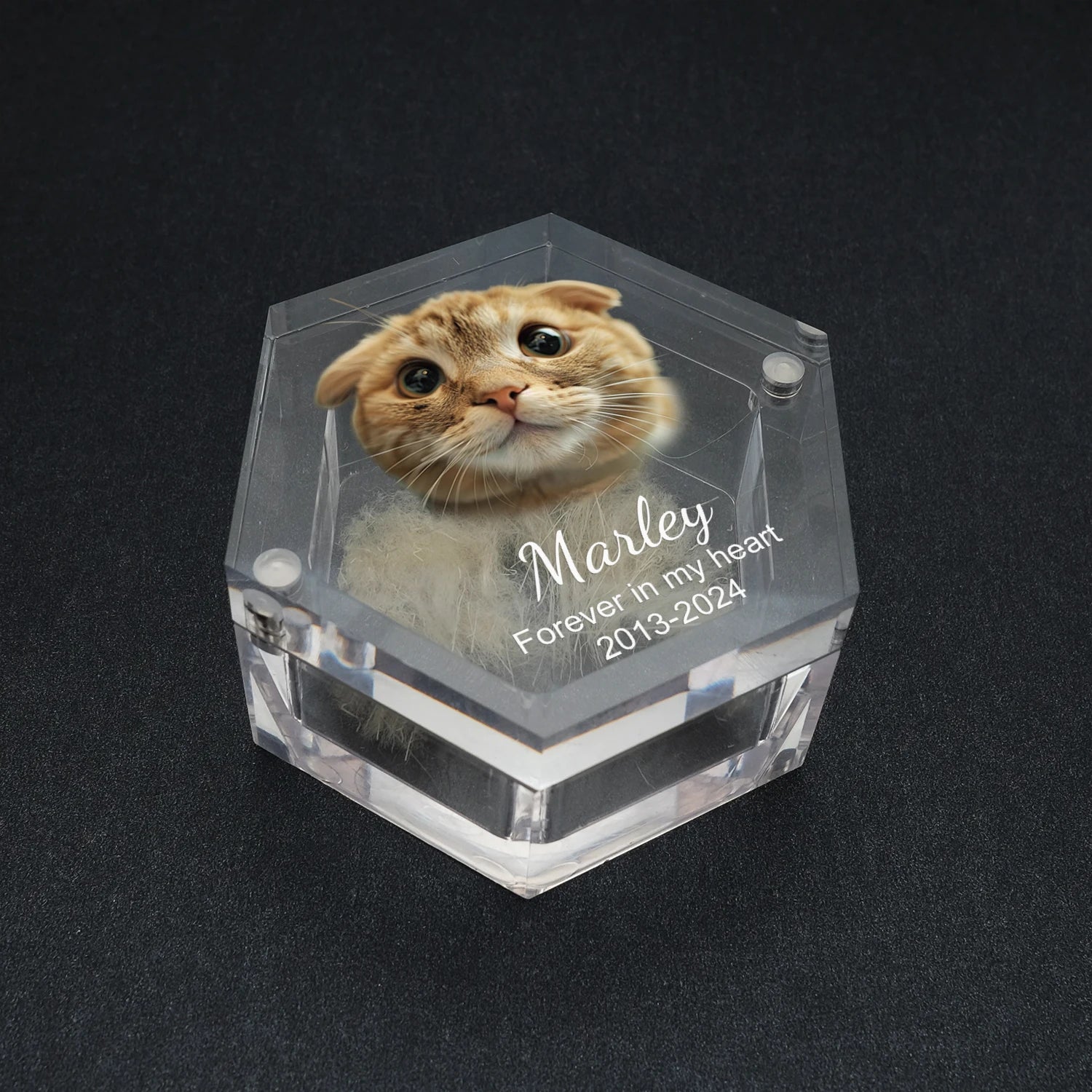 Paws of Memory Keepsake Box