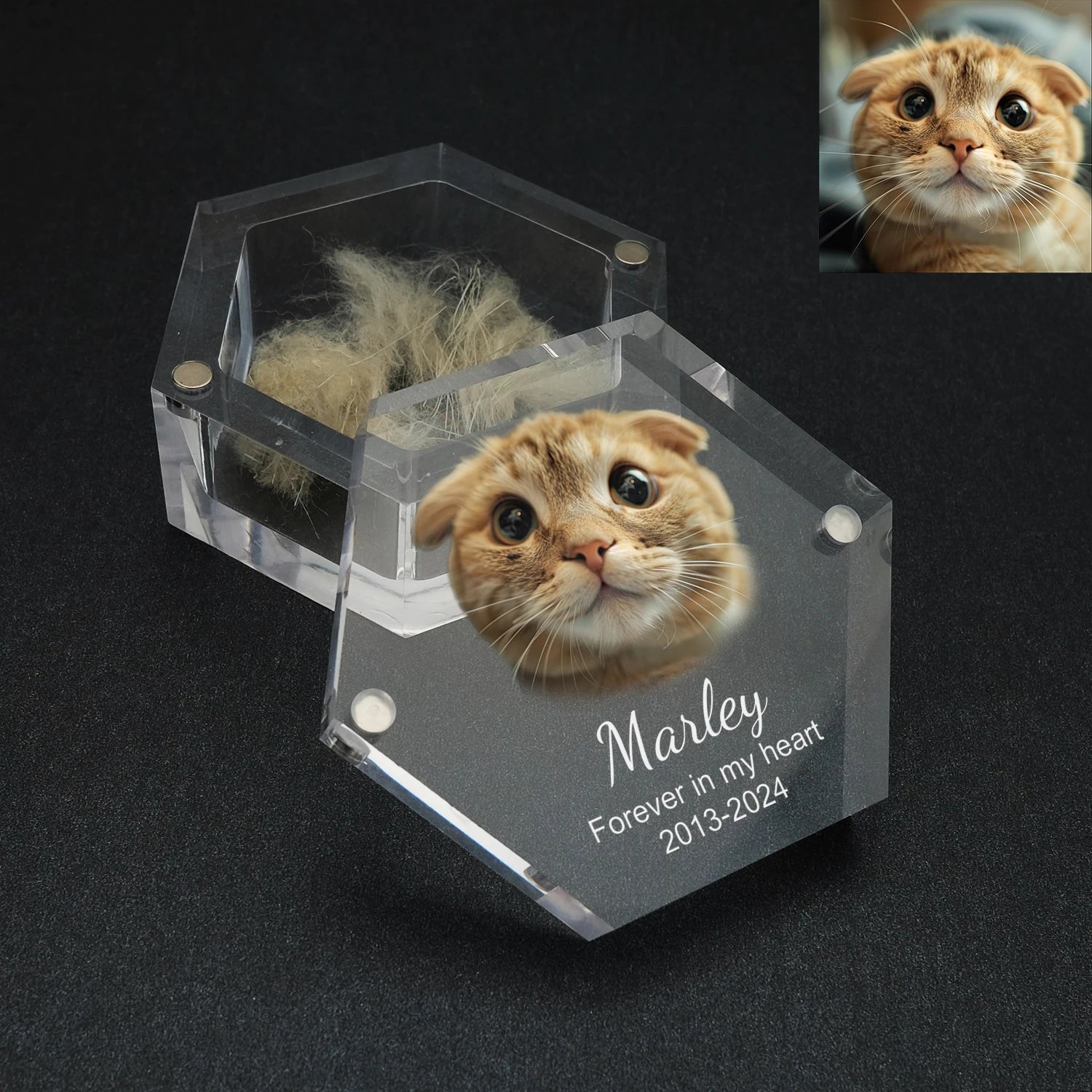 Paws of Memory Keepsake Box