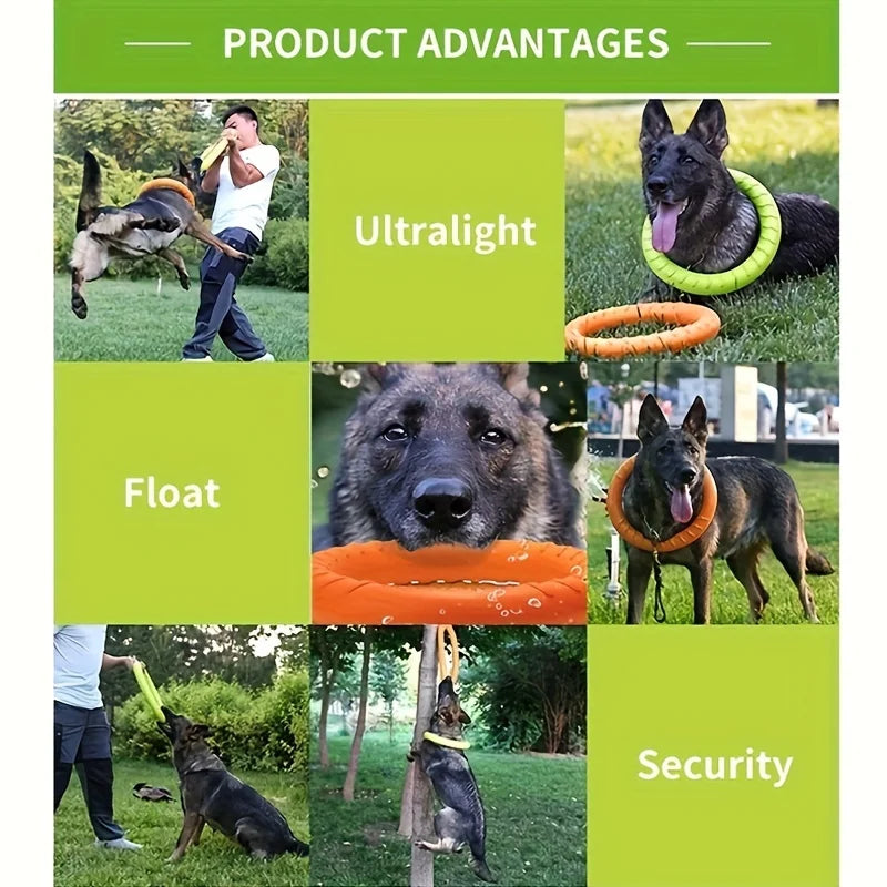 PowerPlay Dog Training Ring