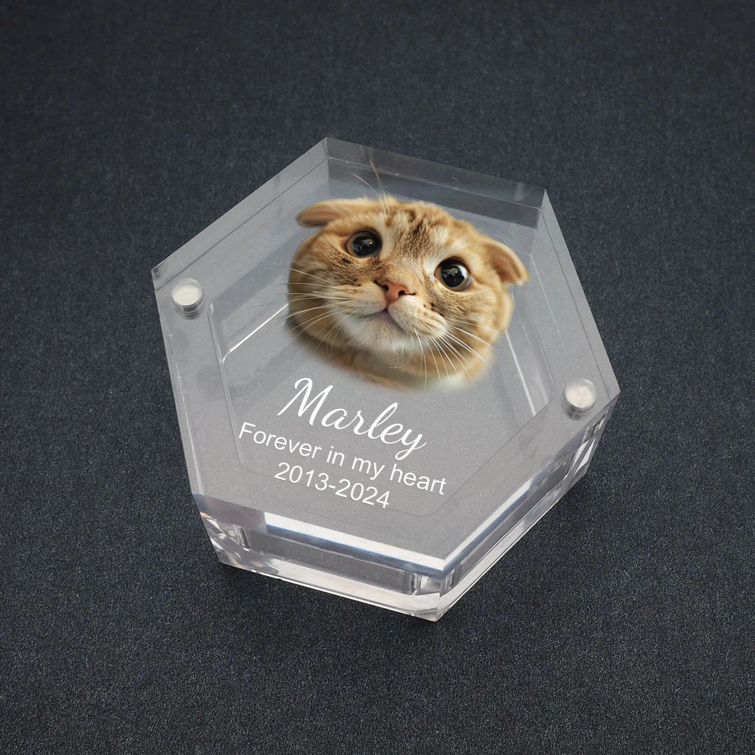 Paws of Memory Keepsake Box