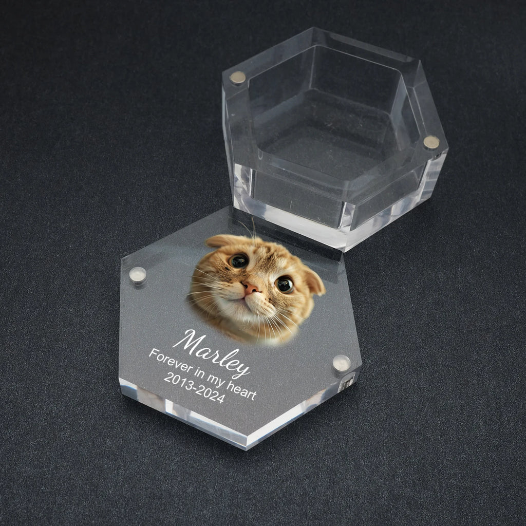 Paws of Memory Keepsake Box