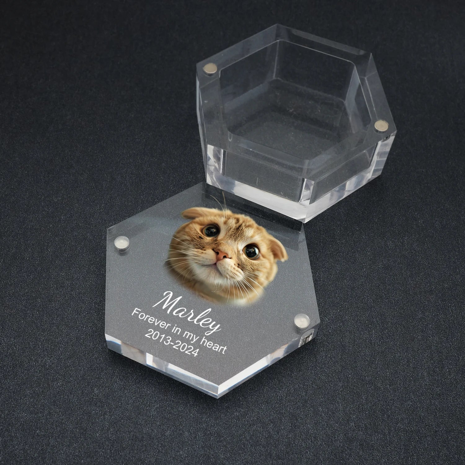 Paws of Memory Keepsake Box