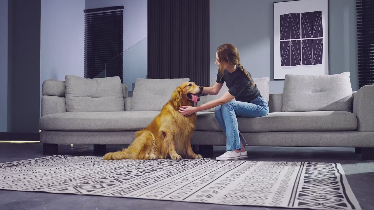 GroomMaster Pro Pet Vacuum Kit