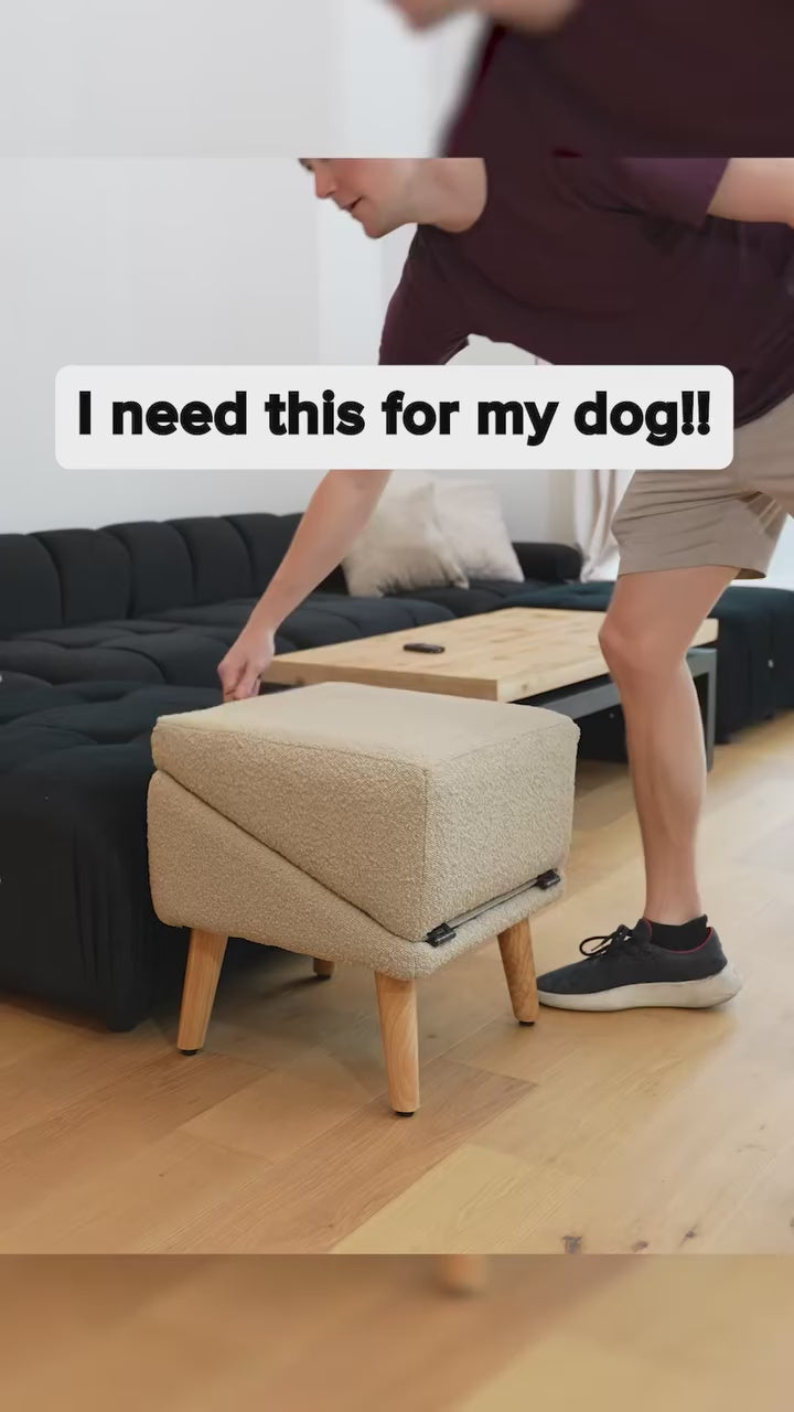 PawStep Comfort Ramp